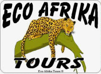 Eco Afrika Logo